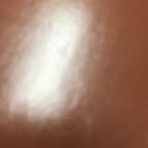 Meet your Posher, Raquel